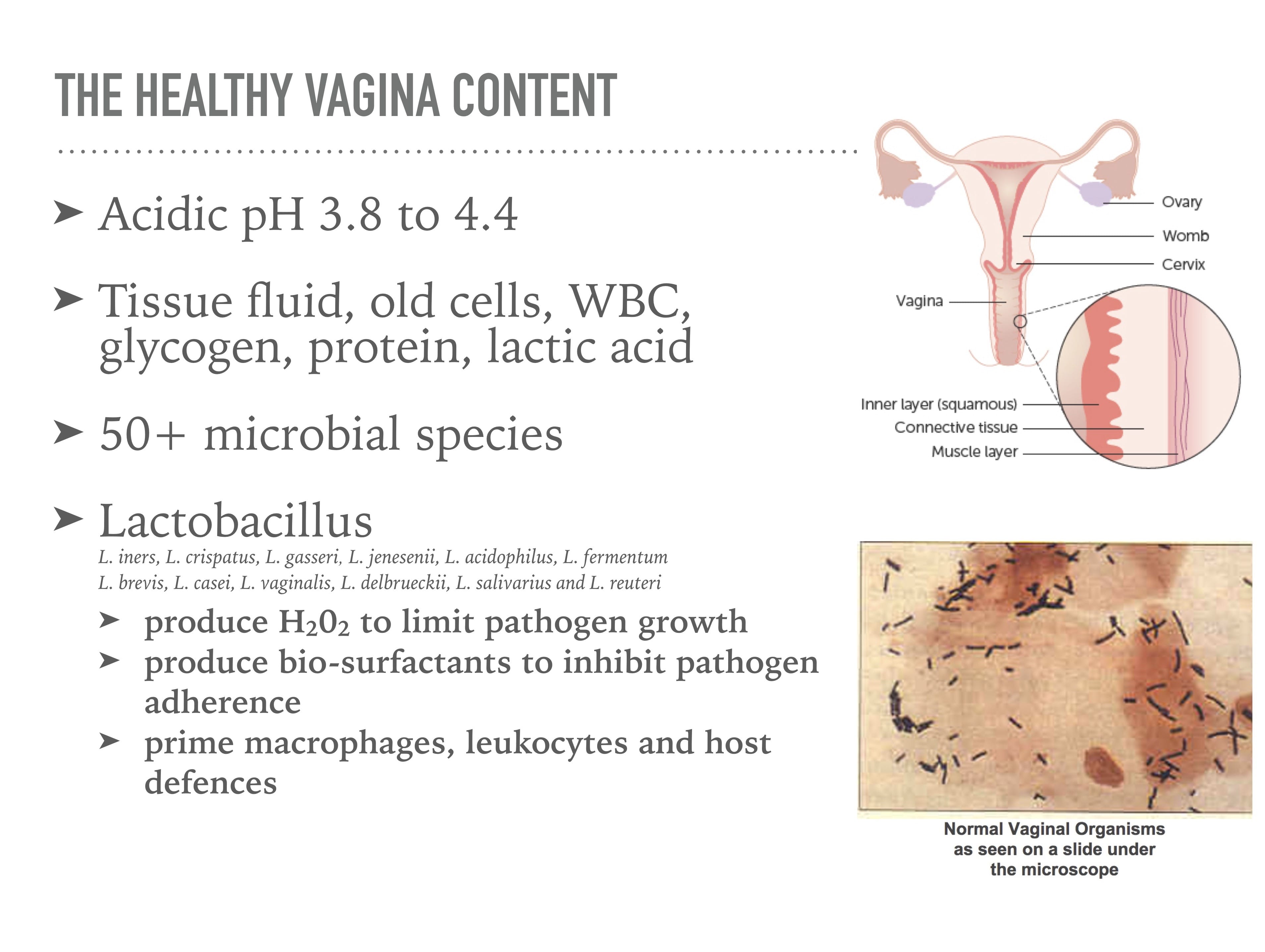 Vaginal Discharge Itch Anthony Siow