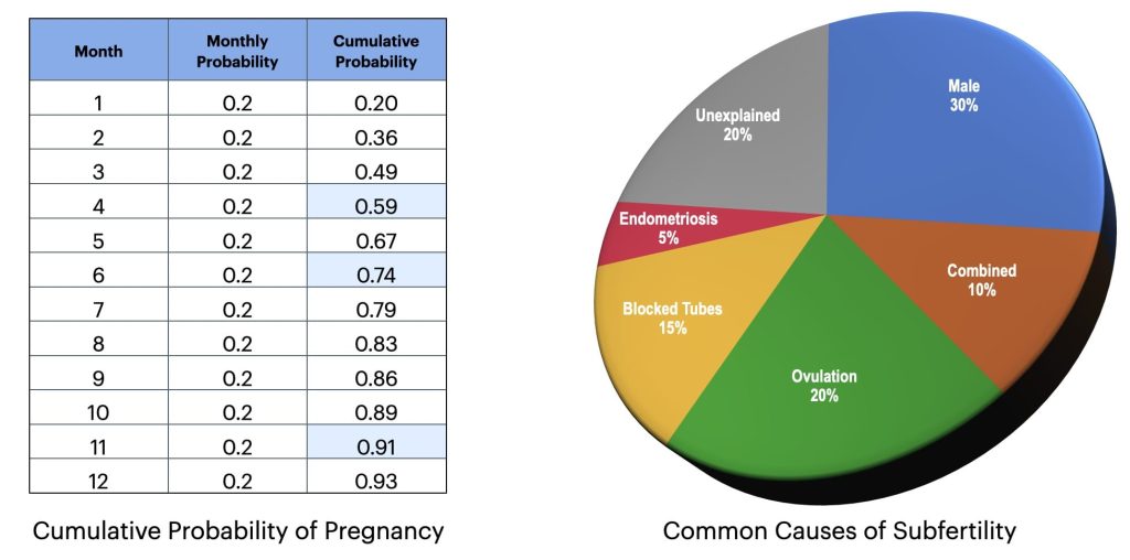 A chart showing the days you are the least likely to get pregnant