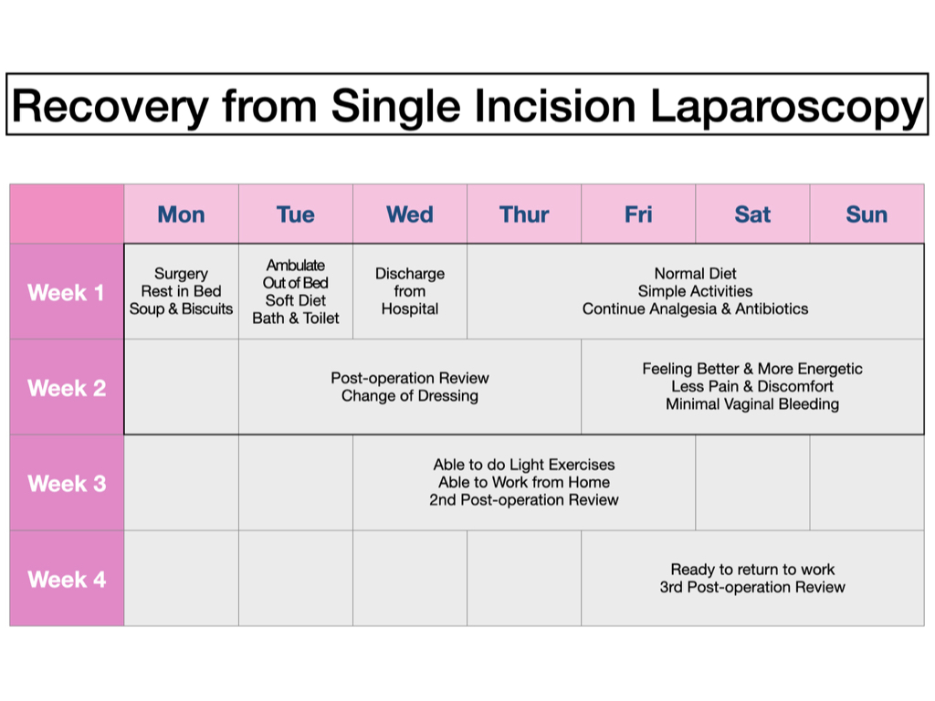 hysterectomy recovery chart - Lemon8 Search